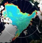 Arctic Sea Ice